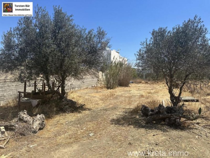 Pitsidia (Komos) Kreta Pitsidia Baugrundstück in dem beliebten Dorf Pitsidia zu verkaufen Grundstück kaufen